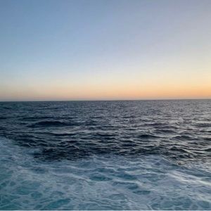 Meet your Posher, Isaac